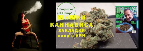 сатива Горняк