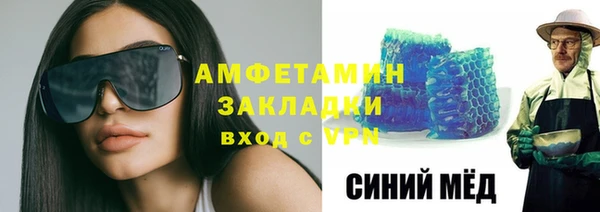 сатива Горняк