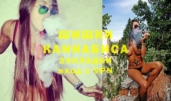 сатива Горняк
