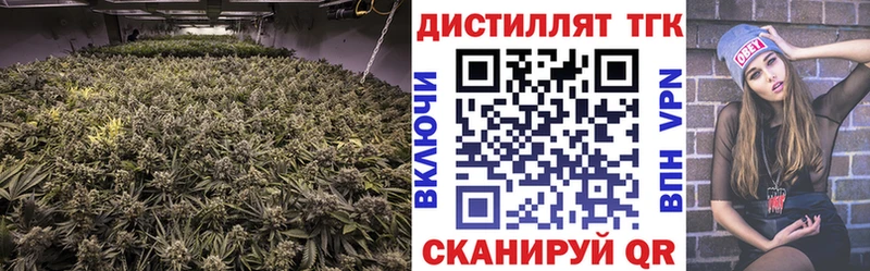 где купить наркоту  Новая Ладога  Дистиллят ТГК THC oil 