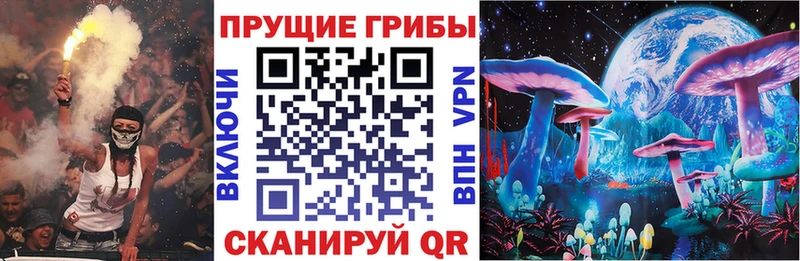 наркотики  Новая Ладога  Псилоцибиновые грибы прущие грибы 